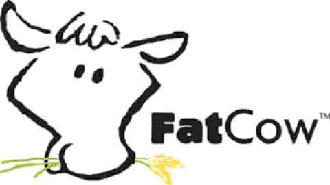 Fatcow Coupon